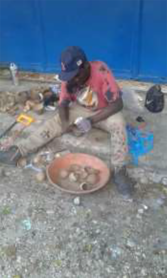 2026-01-20 15_42_48-Shell Handwriting Canvas