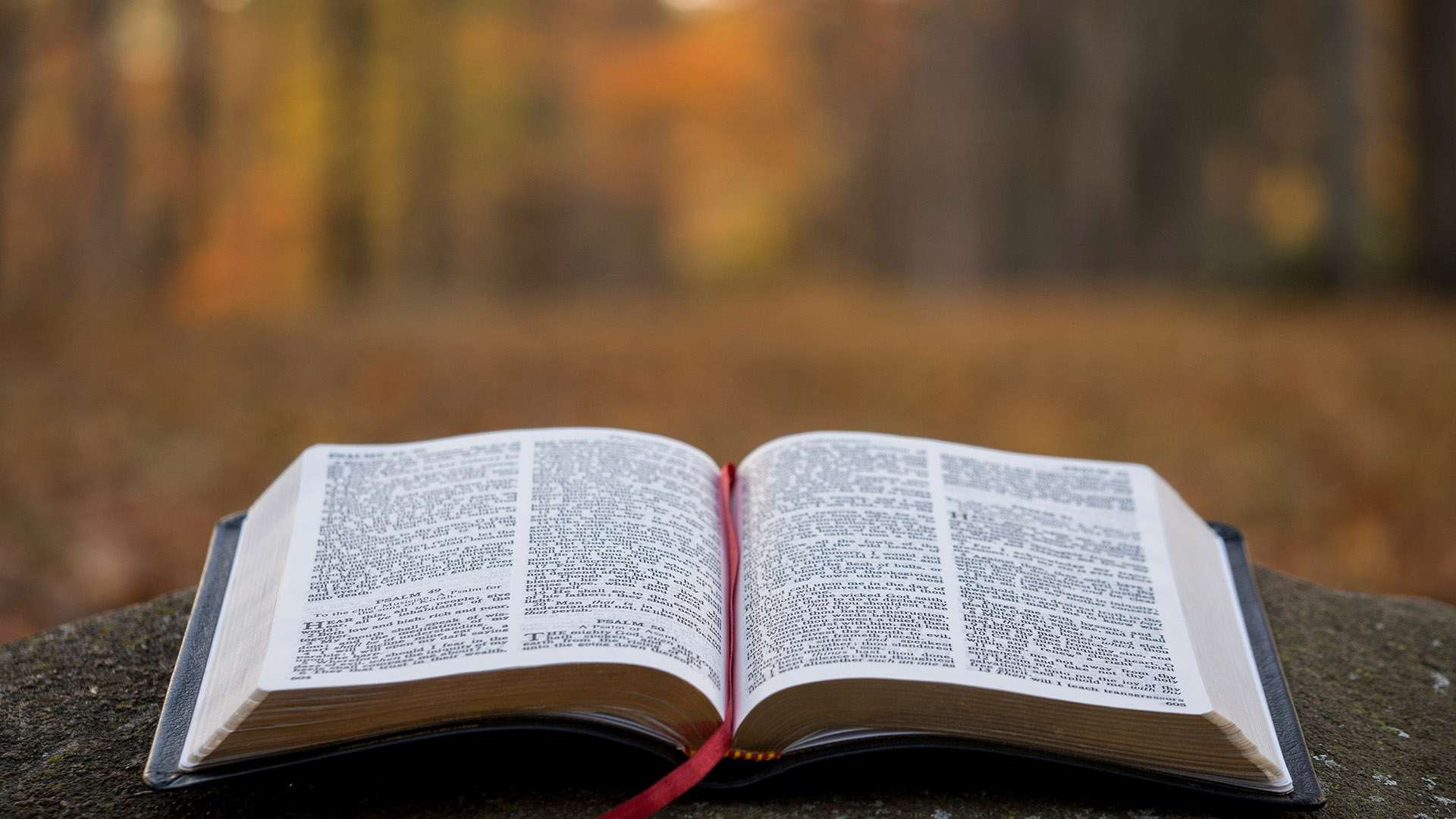 Bible open outdoors